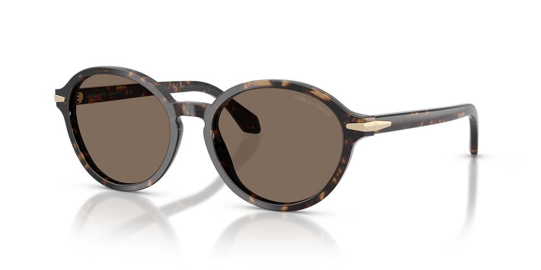 Giorgio Armani Women’s Oval Sunglasses