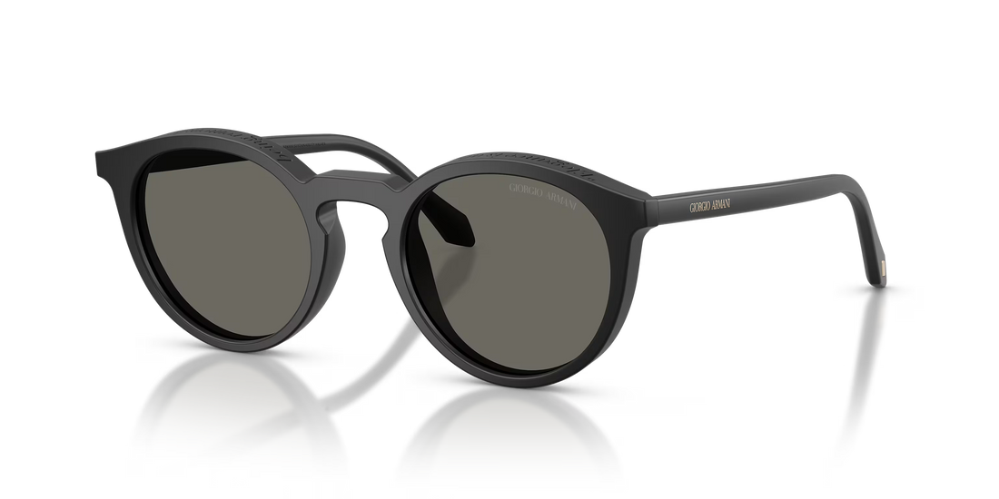 Giorgio Armani Men’s Panto Sunglasses